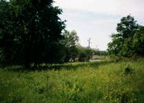 Spacious plot of land in Lovech region. Ref. No 009